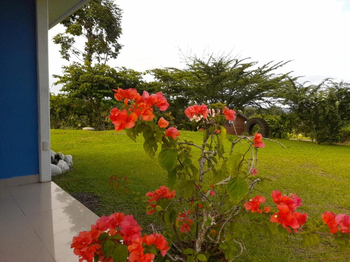 Casa De Campo Heliconia La Fortuna Luaran gambar